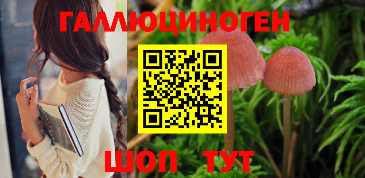 Галлюциногенные грибы GOLDEN TEACHER Иркутск
